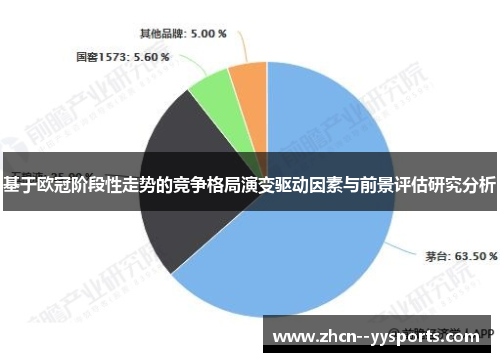 基于欧冠阶段性走势的竞争格局演变驱动因素与前景评估研究分析
