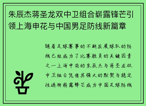 朱辰杰蒋圣龙双中卫组合崭露锋芒引领上海申花与中国男足防线新篇章 朱辰杰蒋圣龙双中卫组合崭露锋芒引领上海申花与中国男足防线新篇章